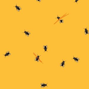 A Study in Pointlessness