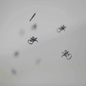 The Social “Animals”